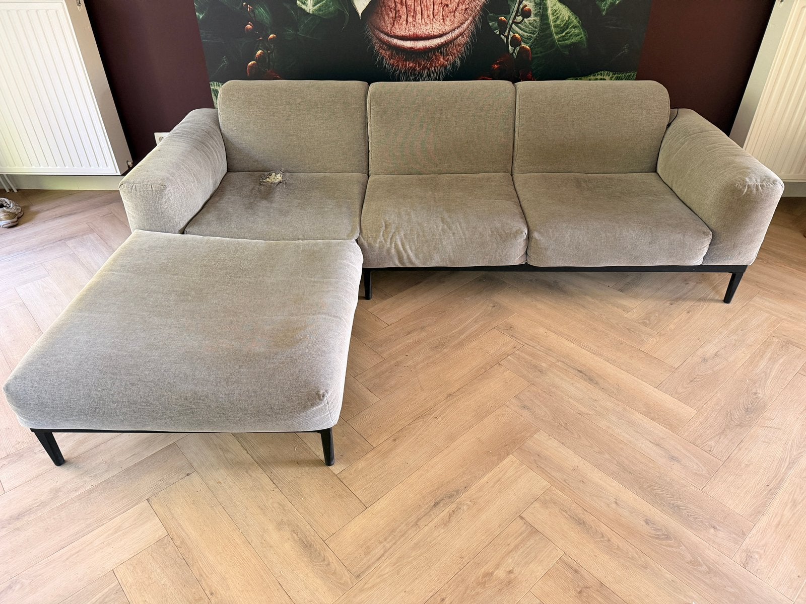 Freistil Rolf Benz, Maison & Meubles, Canapés | Sofas & Chaises Longues, Utilisé, Quatre personnes ou plus, 250 à 300 cm, 75 à 100 cm