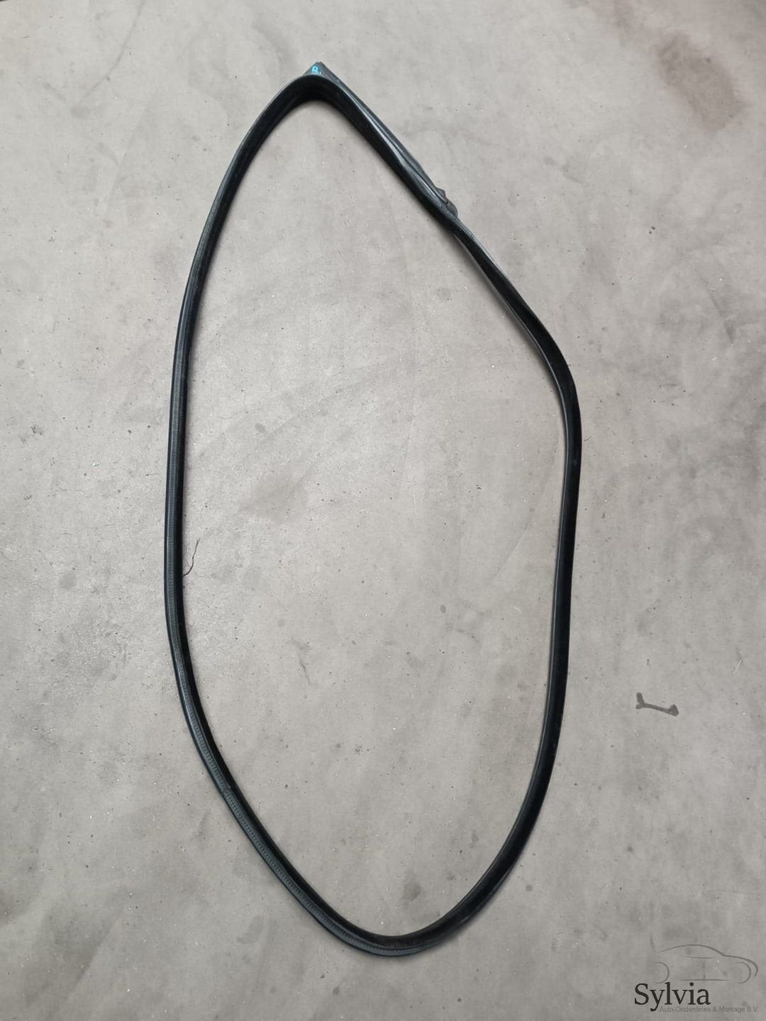 Portier deurrubber rechts voorzijde BMW 4 serie F32 F82 + LC, Gebruikt, -, -, Ophalen of Verzenden