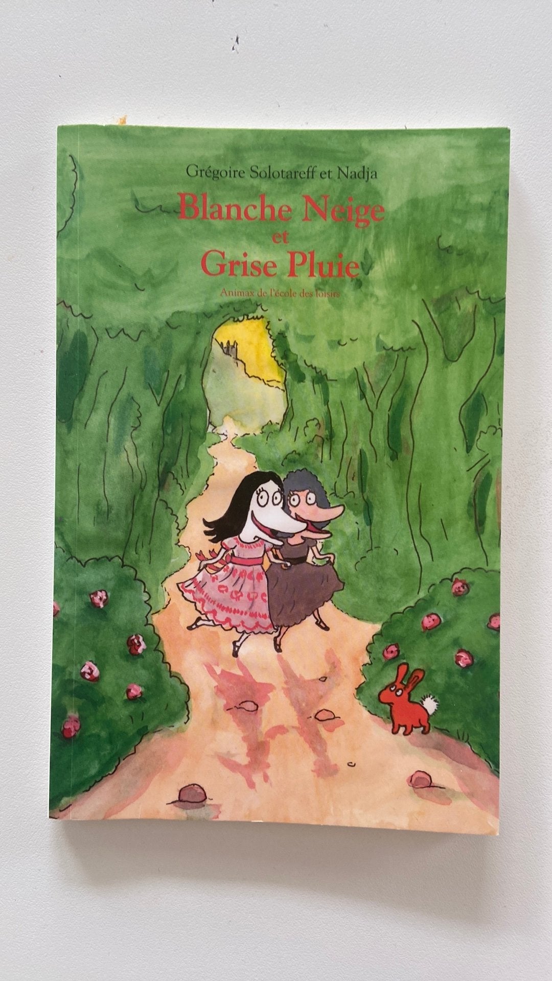 Blanche Neige et Grise Pluie, Livres, Enlèvement, Comme neuf