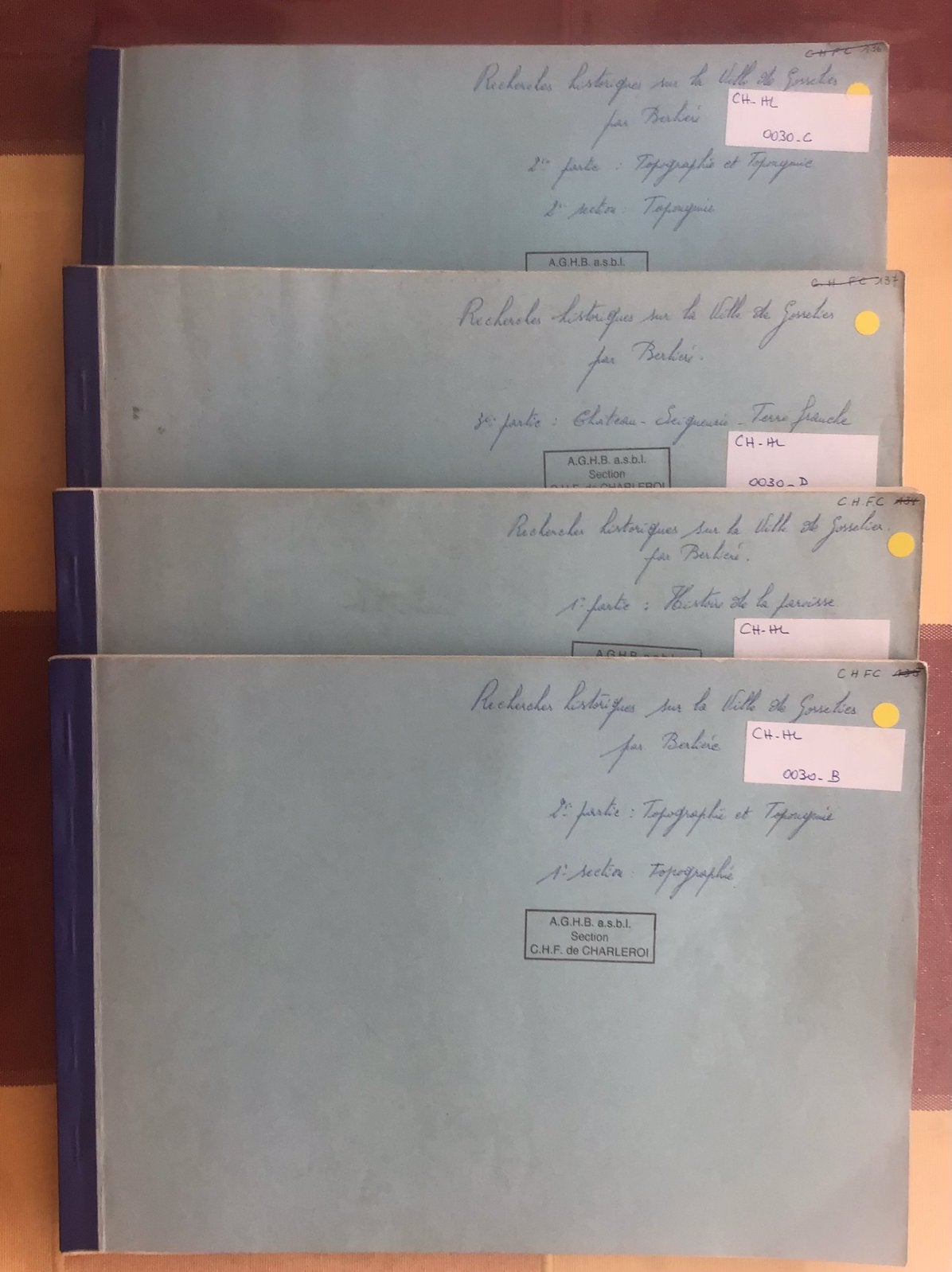 Historisch onderzoek van GOSSELIES, Boeken, Geschiedenis | Stad en Regio, Ophalen of Verzenden, Gelezen