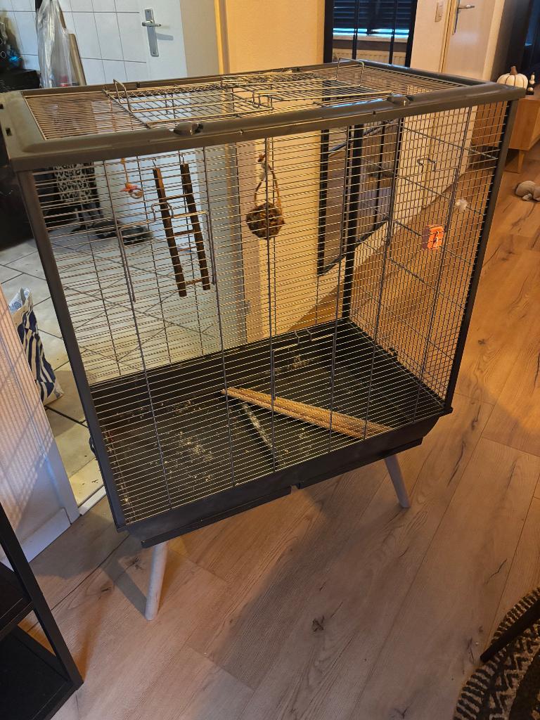 Grote vogelkooi, Dieren en Toebehoren, Ophalen, Zo goed als nieuw, Metaal, Vogelkooi