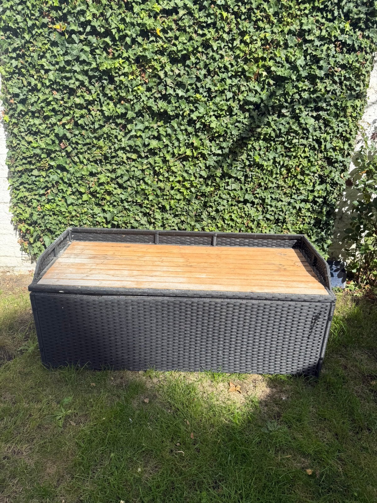 Coffre de rangement extérieur en résine tressée, Enlèvement, Utilisé, Autres matériaux, Stockage de conteneurs