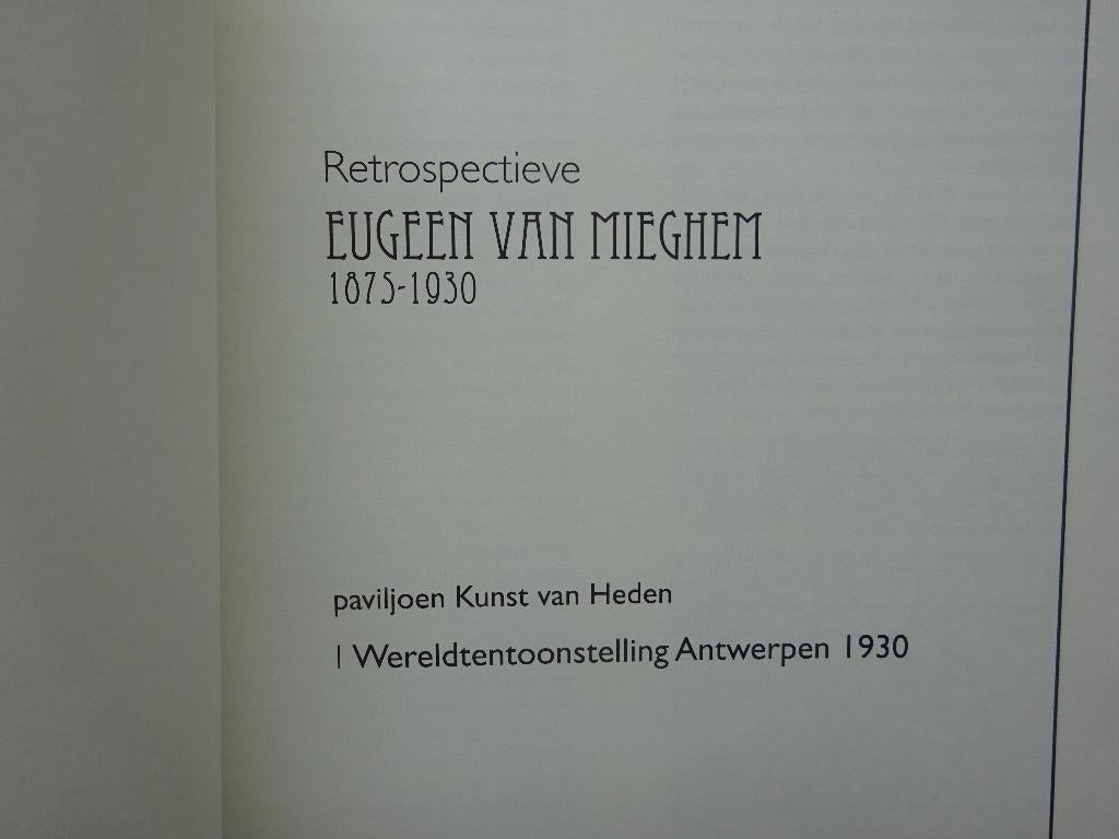 Eugeen Van Mieghem, 2001 en de expo in 1930, Boeken, Erwin Joos, Ophalen of Verzenden, Zo goed als nieuw, Schilder- en Tekenkunst