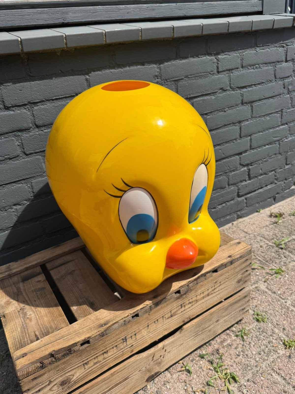 Tweety Looney Tunes hoofd / lamp XL, Verzamelen, Ophalen, Looney Tunes, Gebruikt, Gebruiksvoorwerp