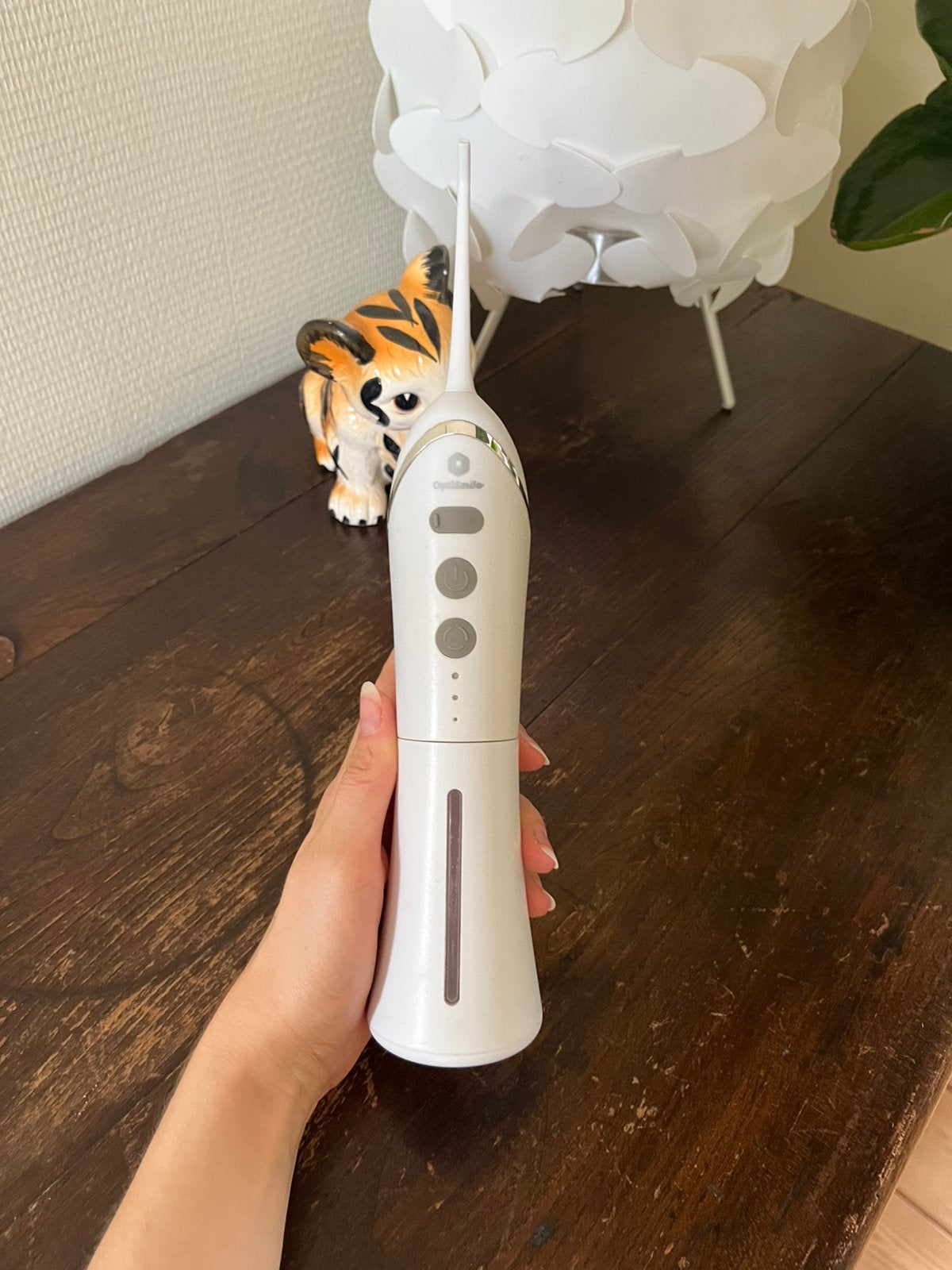 Waterflosser, Handtassen en Accessoires, Uiterlijk | Mondverzorging, Ophalen, Zo goed als nieuw, Overige typen
