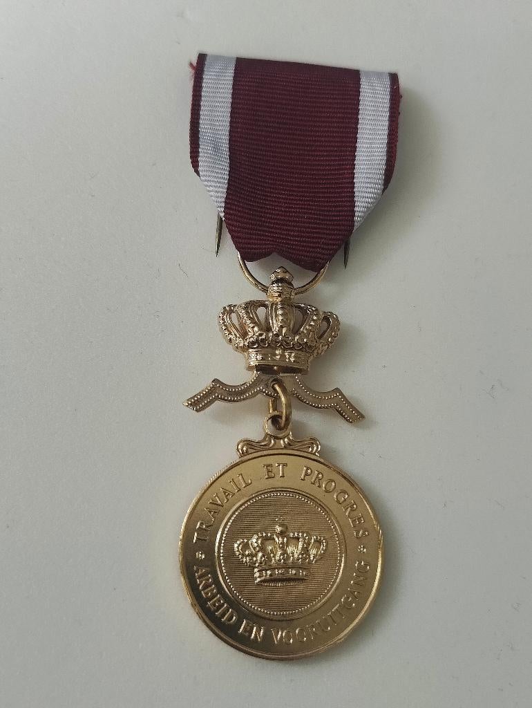 Gouden Medaille van de Belgische Kroonorde, Verzamelen, Ophalen of Verzenden, Overige soorten