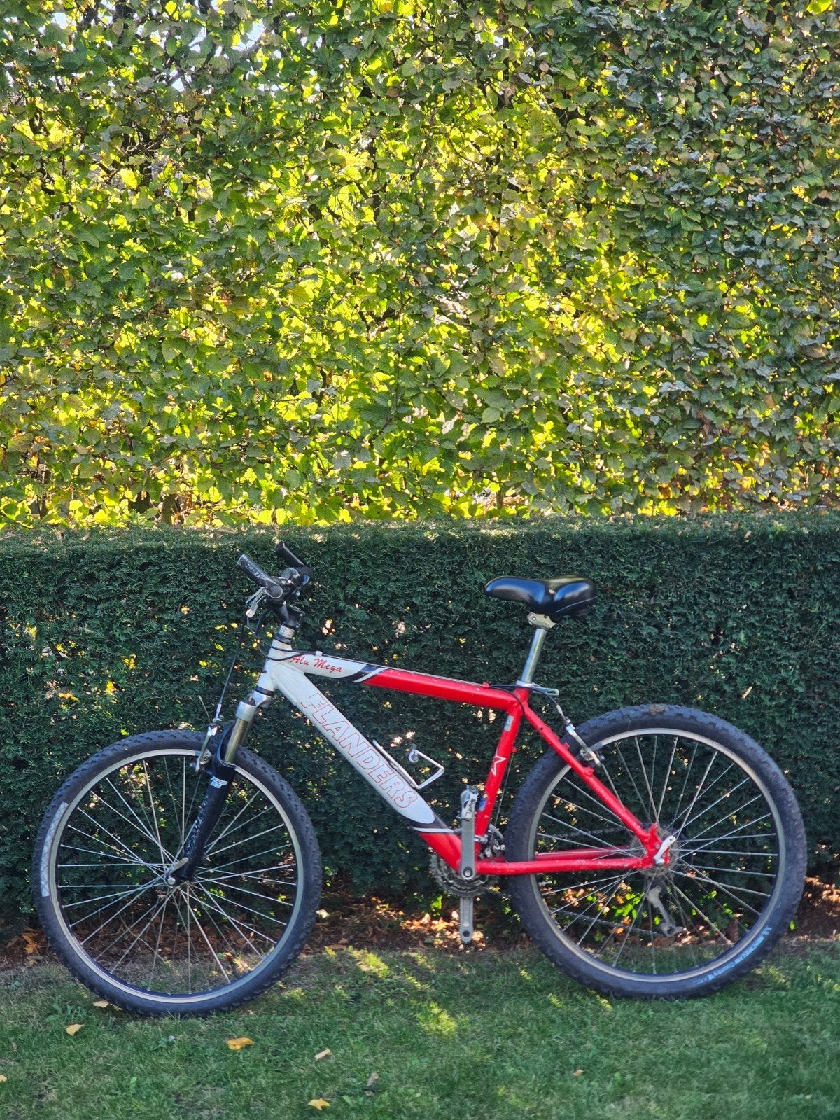Flanders 26" mountainbike, Ophalen, Gebruikt, Overige merken