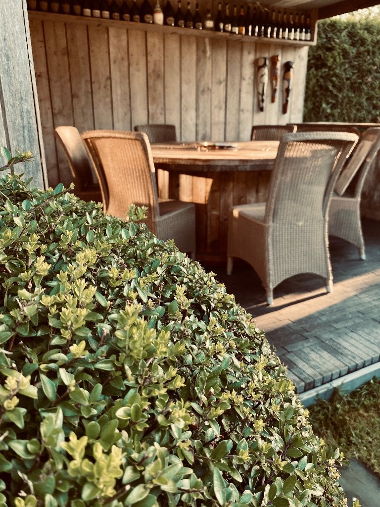Tuintafel met gashaard, Tuin en Terras, Ophalen, Gebruikt