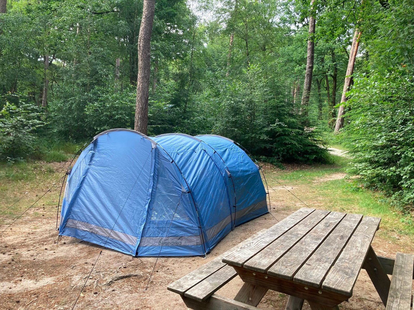 Skandika tunneltent kambo 4, Caravans en Kamperen, Tenten, Ophalen, Zo goed als nieuw, Tot en met 4