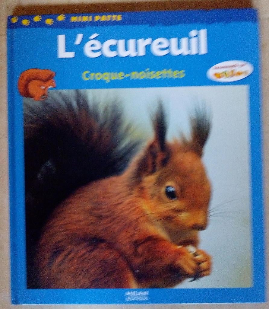 L'écureuil - croque-noisettes, Enlèvement ou Envoi