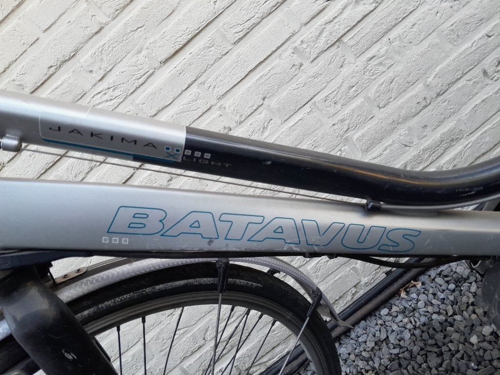 Elec. Batavus, Enlèvement, Utilisé, Batavus
