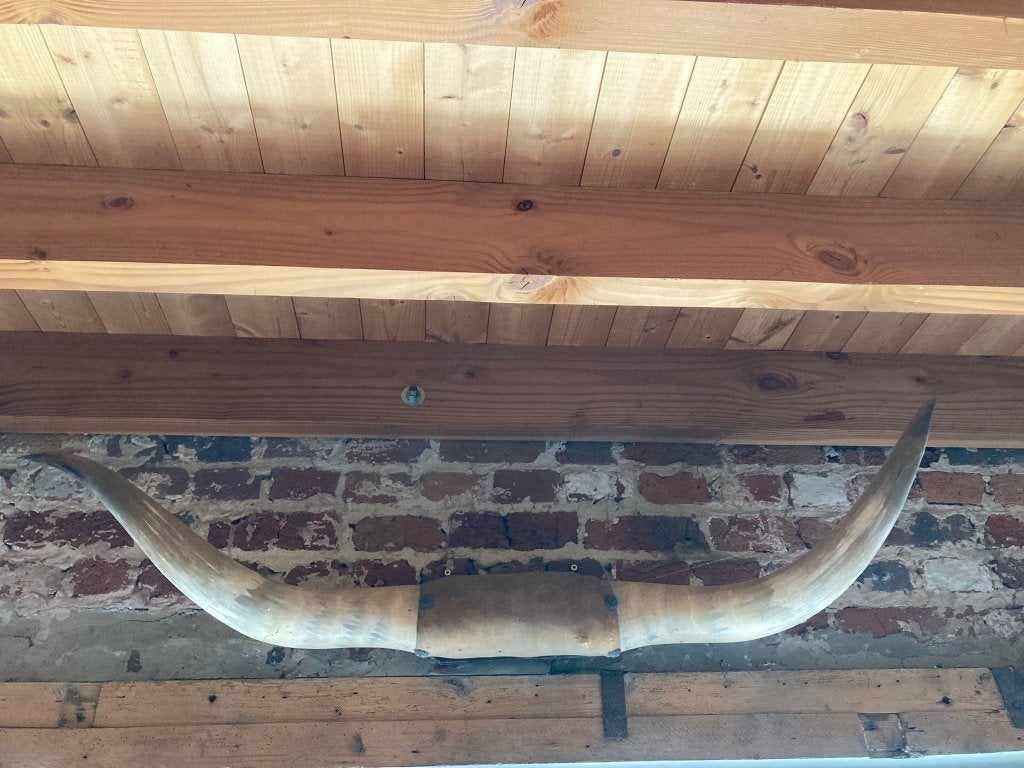 buffel hoorn gewei, Verzamelen, Ophalen