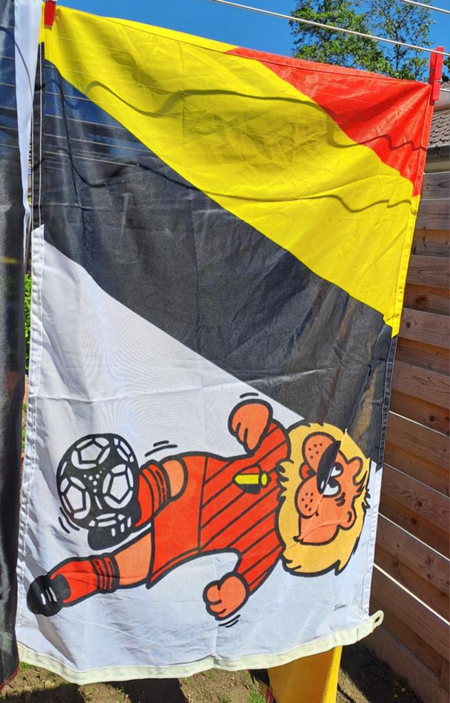 Vlag, Diversen, Vlaggen en Wimpels, Ophalen