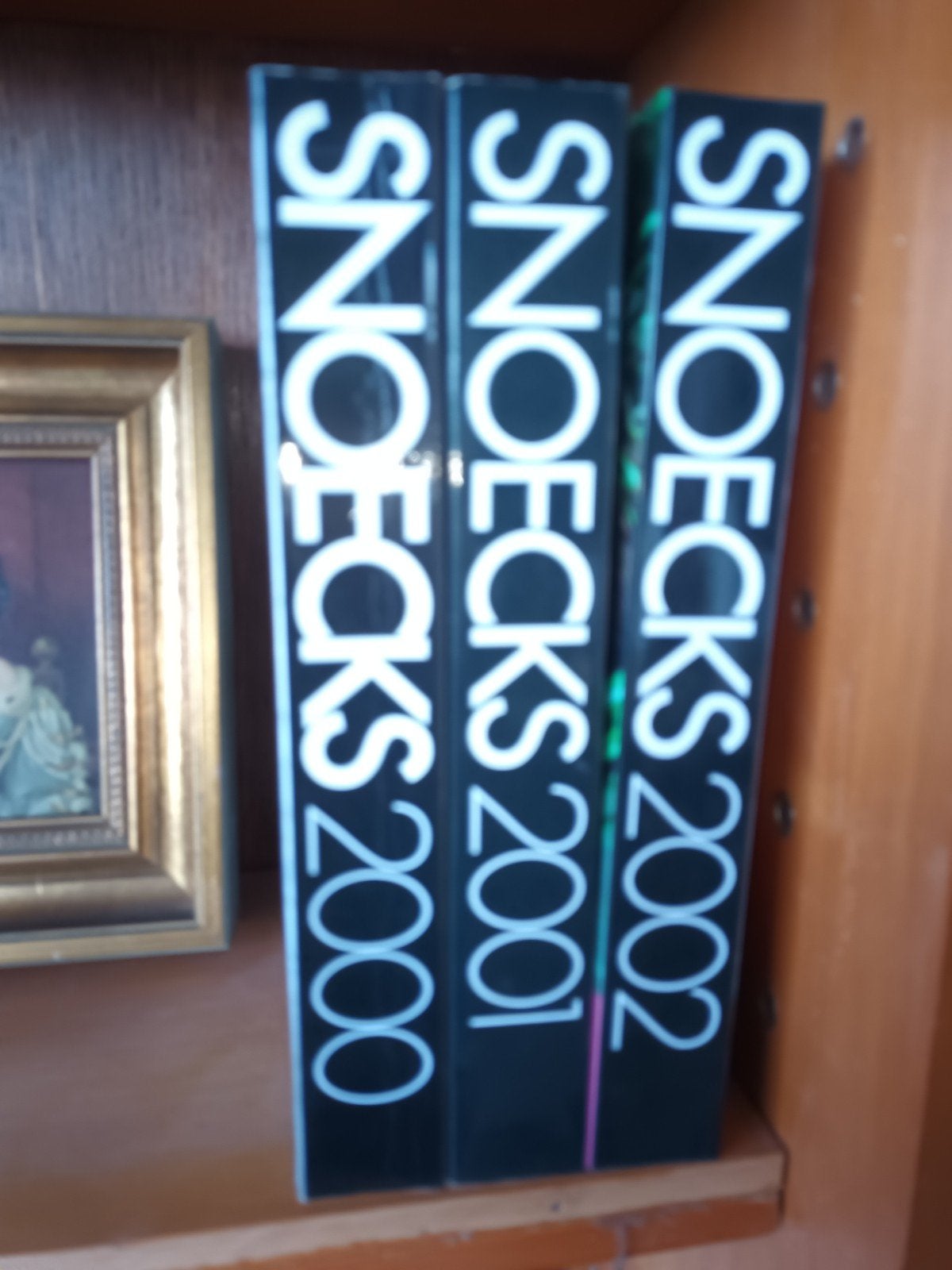 Snoecks 2000, 2001 en 2002., Boeken, Ophalen of Verzenden