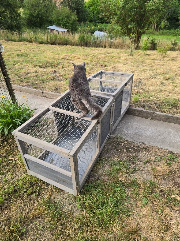 Lot Clapiers Cages, Cobaye, Moins de 60 cm, 75 à 110 cm, Cage