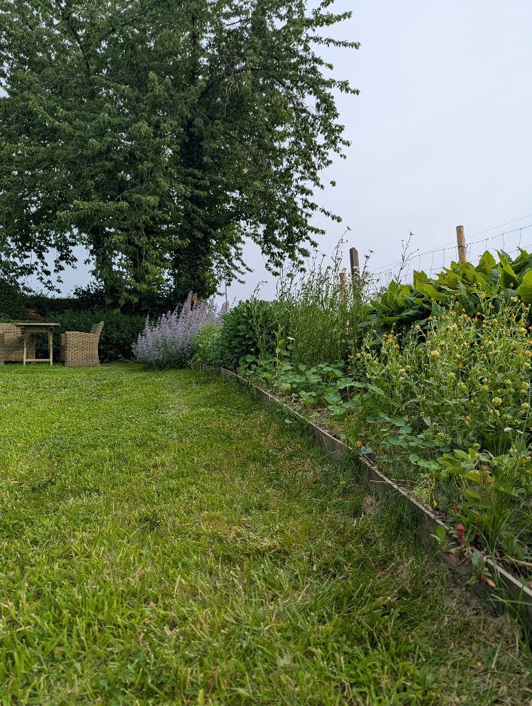 bordure tropicale | AZOBE, Jardin & Terrasse, Traverses & Bordures, Enlèvement, Comme neuf, Bois
