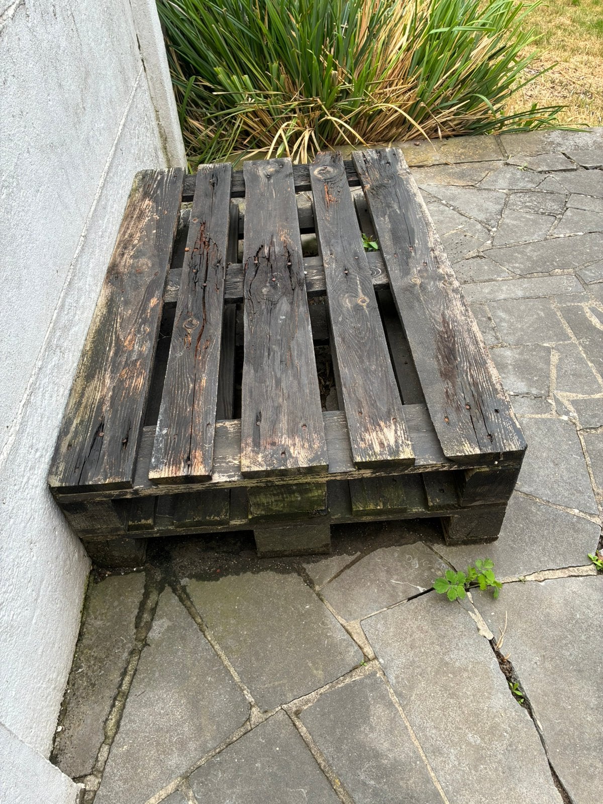 Gratis 2x gefumigeerde europallet, Doe-het-zelf en Bouw, Hout en Planken, Ophalen, Gebruikt
