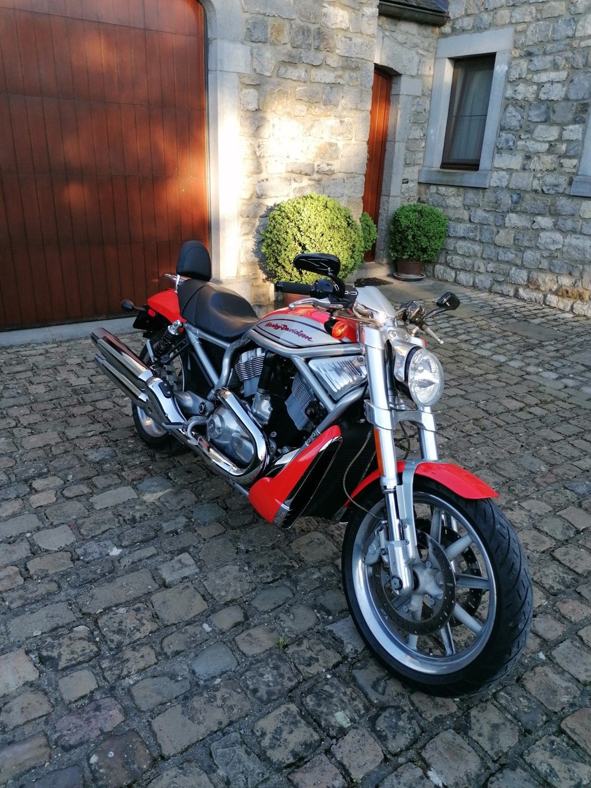 Harley Davidson Street Rod VRSCR
Spierdeclinatie van de V, Particulier