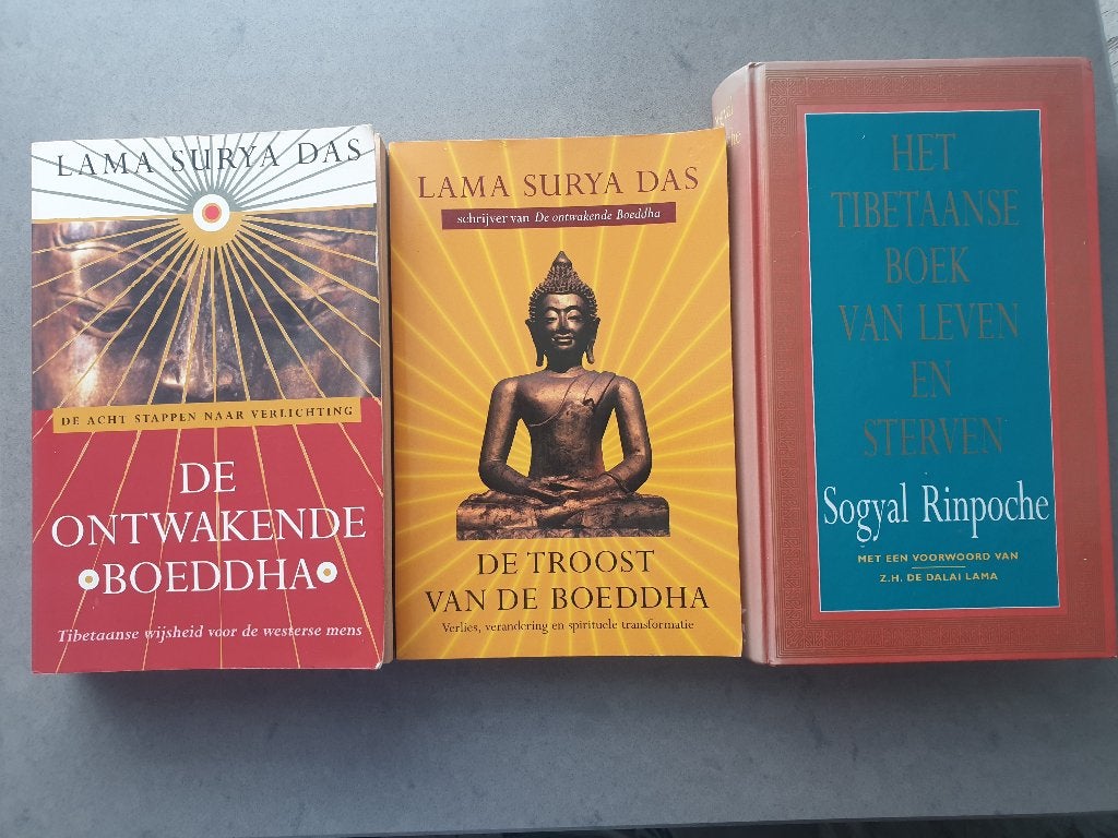 3 boeken over Boeddha en Tibet, Boeken, Esoterie en Spiritualiteit, Gelezen, Overige typen, Spiritualiteit algemeen, Ophalen