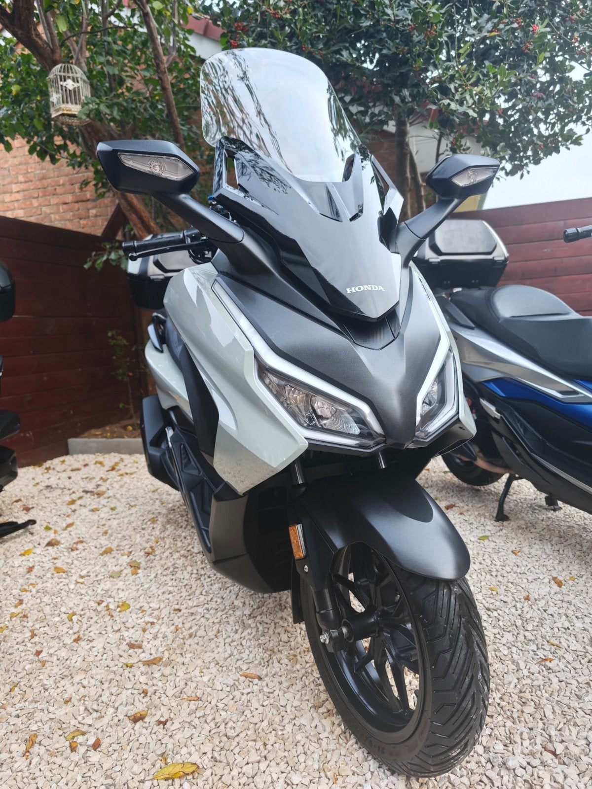 Honda Forza 125 vanaf 2024/4.900 km, Motoren, Scooter, Nieuw, Particulier, 125 cc