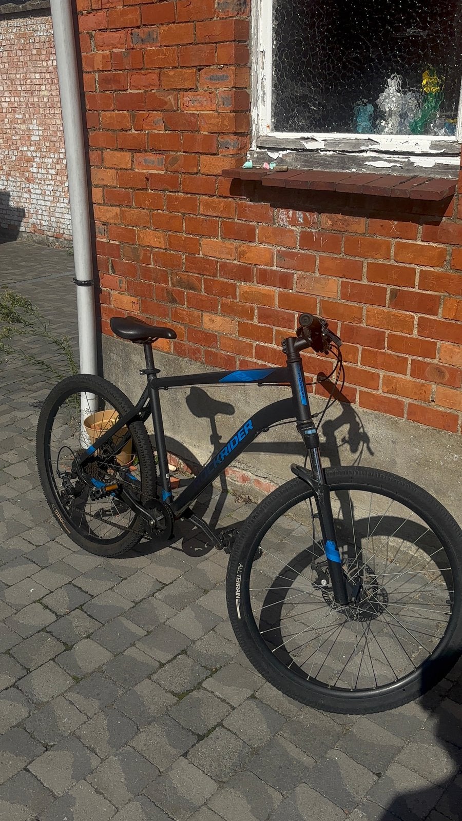 Rockrider ST 120, Enlèvement, Utilisé, Hommes