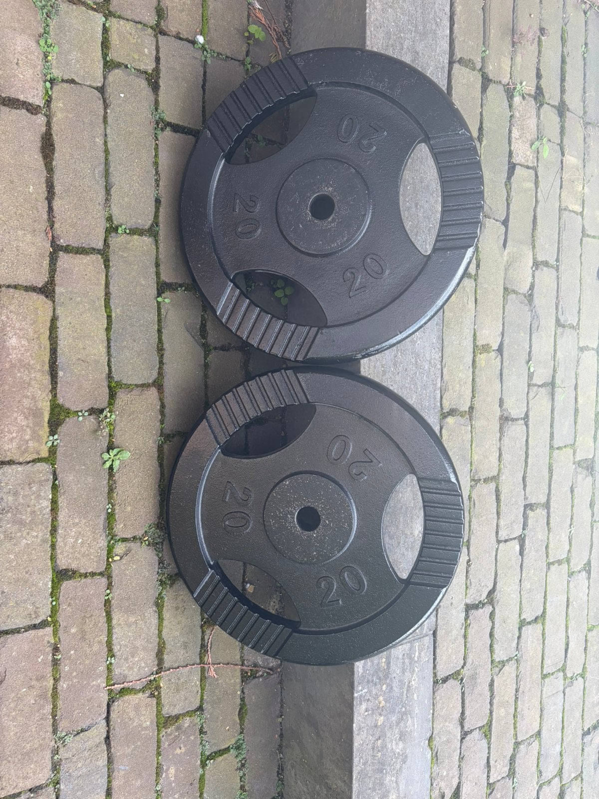 2 gewichten 20 kg, Ophalen, Zo goed als nieuw, Benen, Halterschijven