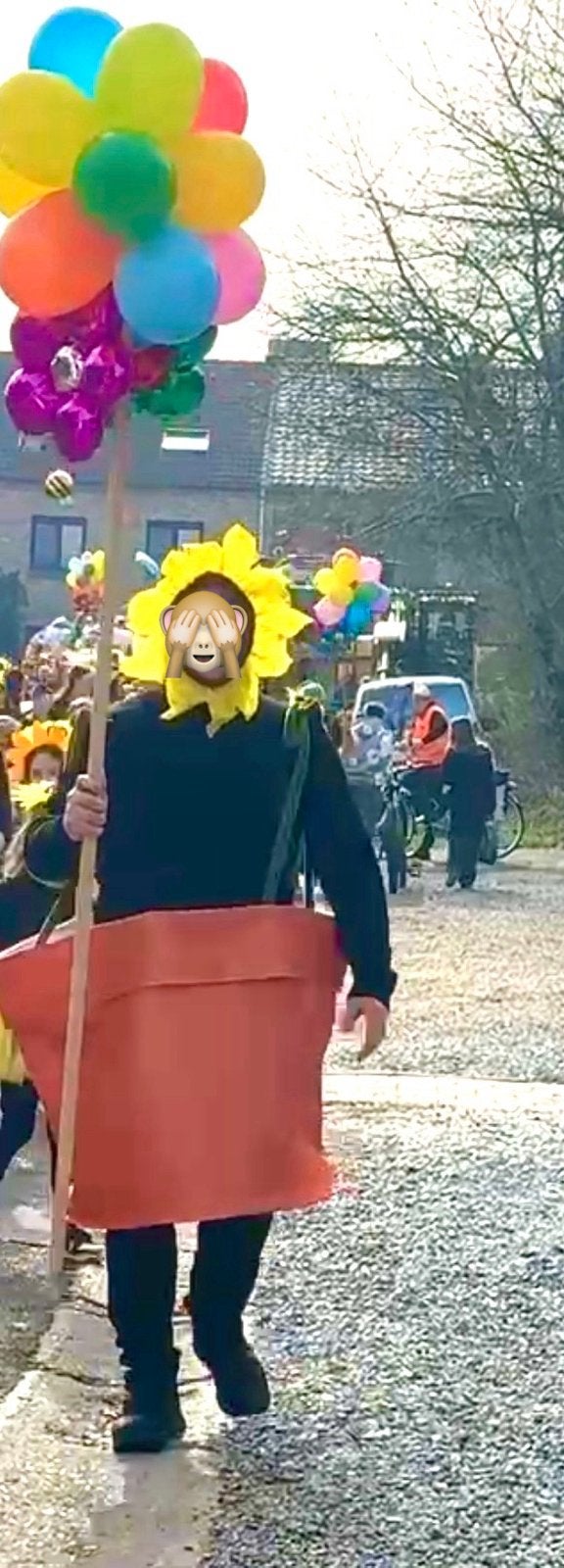 Zonnebloem carnaval pak, Kleding | Dames, Carnavalskleding en Feestkleding, Ophalen of Verzenden, Zo goed als nieuw