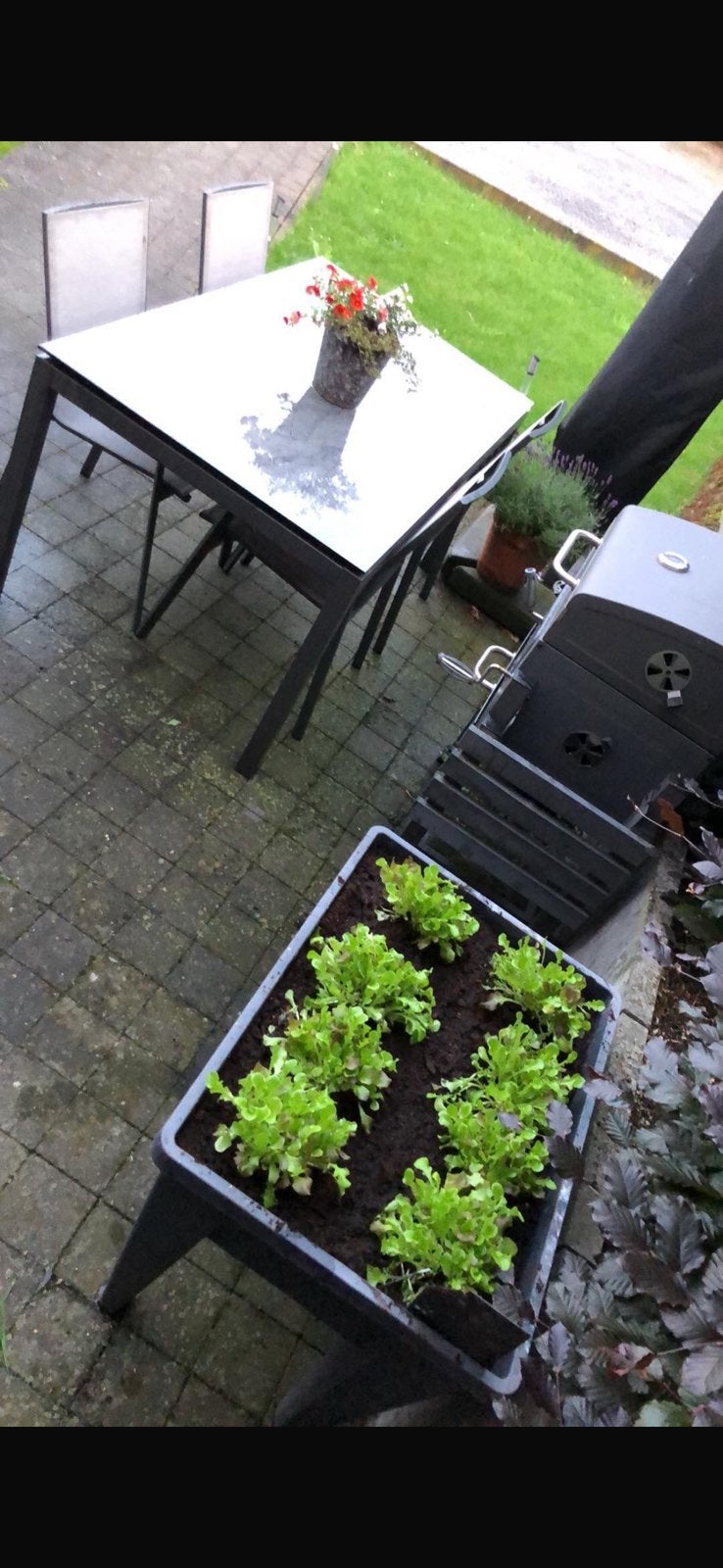 Table de terrasse avec 4 chaisses marque STERN, Jardin & Terrasse, Enlèvement, Comme neuf