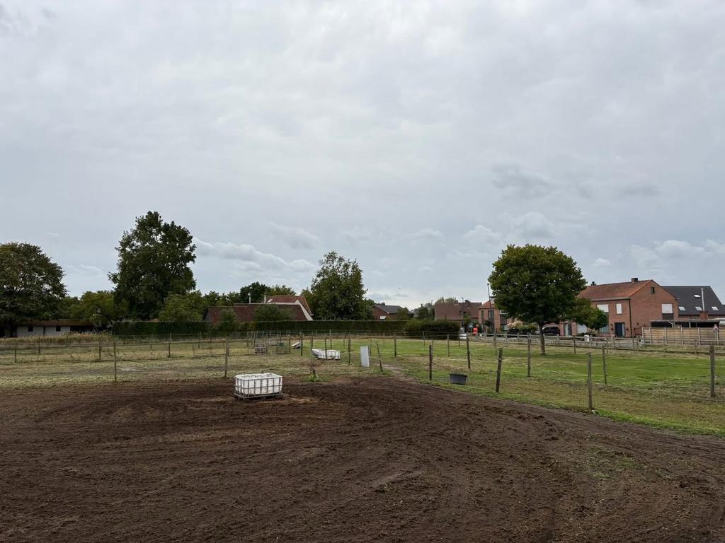 Plekje vrij voor paard of pony, Dieren en Toebehoren, Weidegang, 2 of 3 paarden of pony's