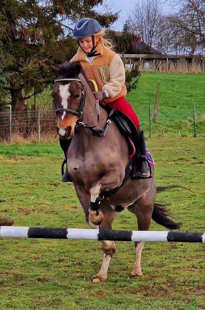 B PONY, Enlèvement ou Envoi
