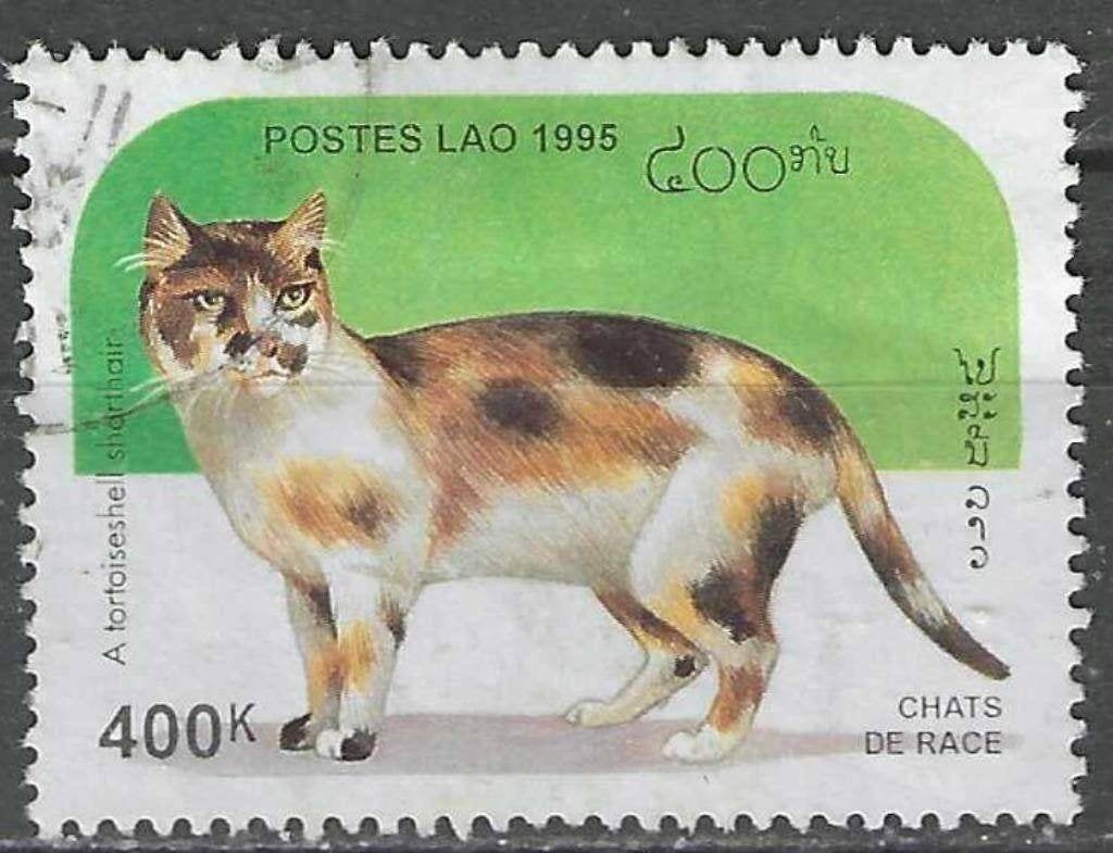 Laos 1995 - Yvert 1189 - Raskatten (ST), Verzenden, Gestempeld