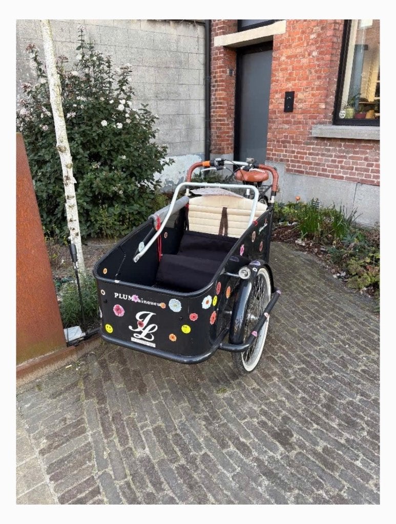 Toffe bakfiets voor 2 kinderen en bagage - Johnny Loco, Fietsen en Brommers, Ophalen, Gebruikt, Huif, 2 kinderen