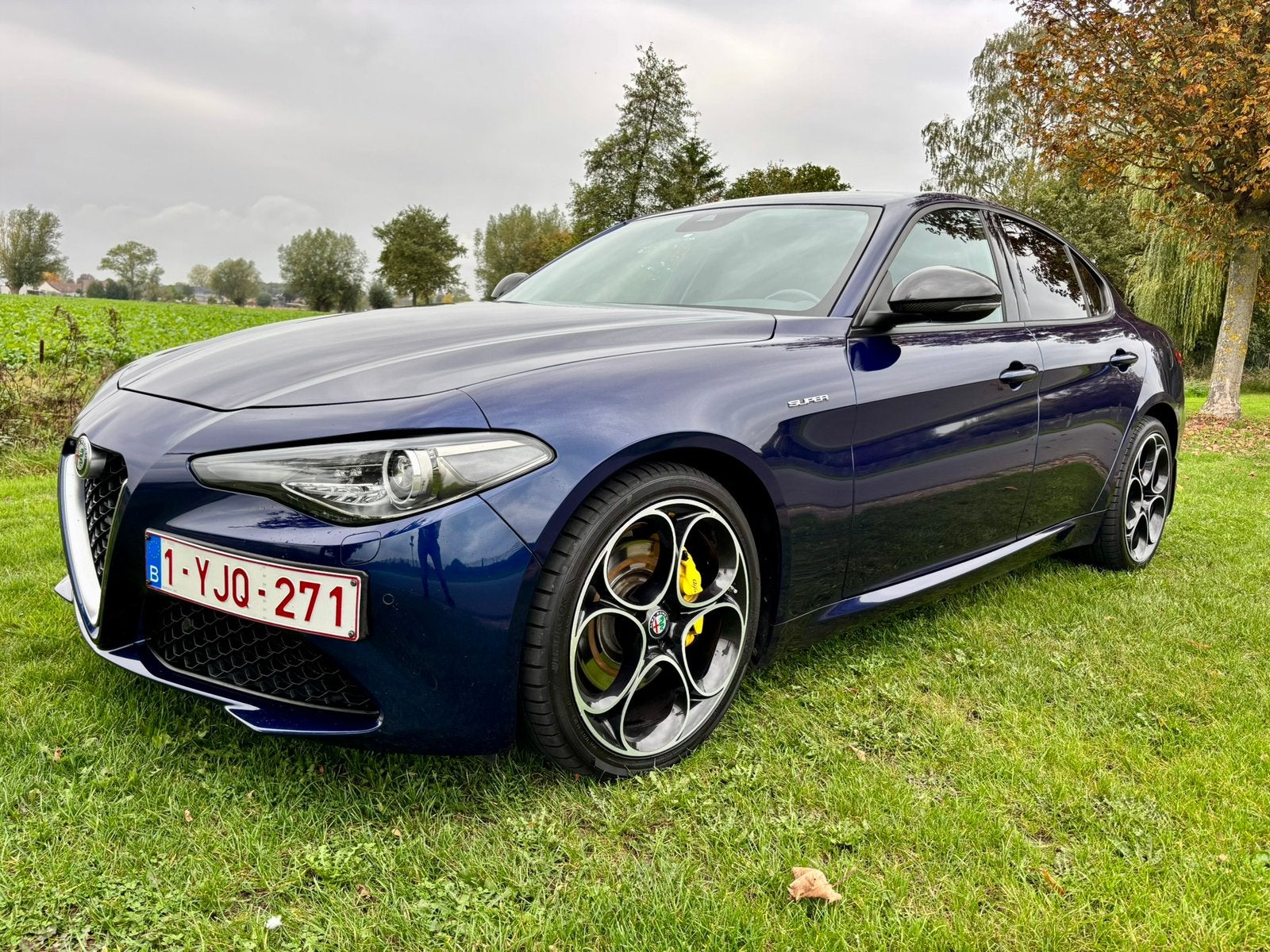 Alfa Romeo Giulia 2.0 Turbo, Automaat, 4 deurs, Achterwielaandrijving, Blauw