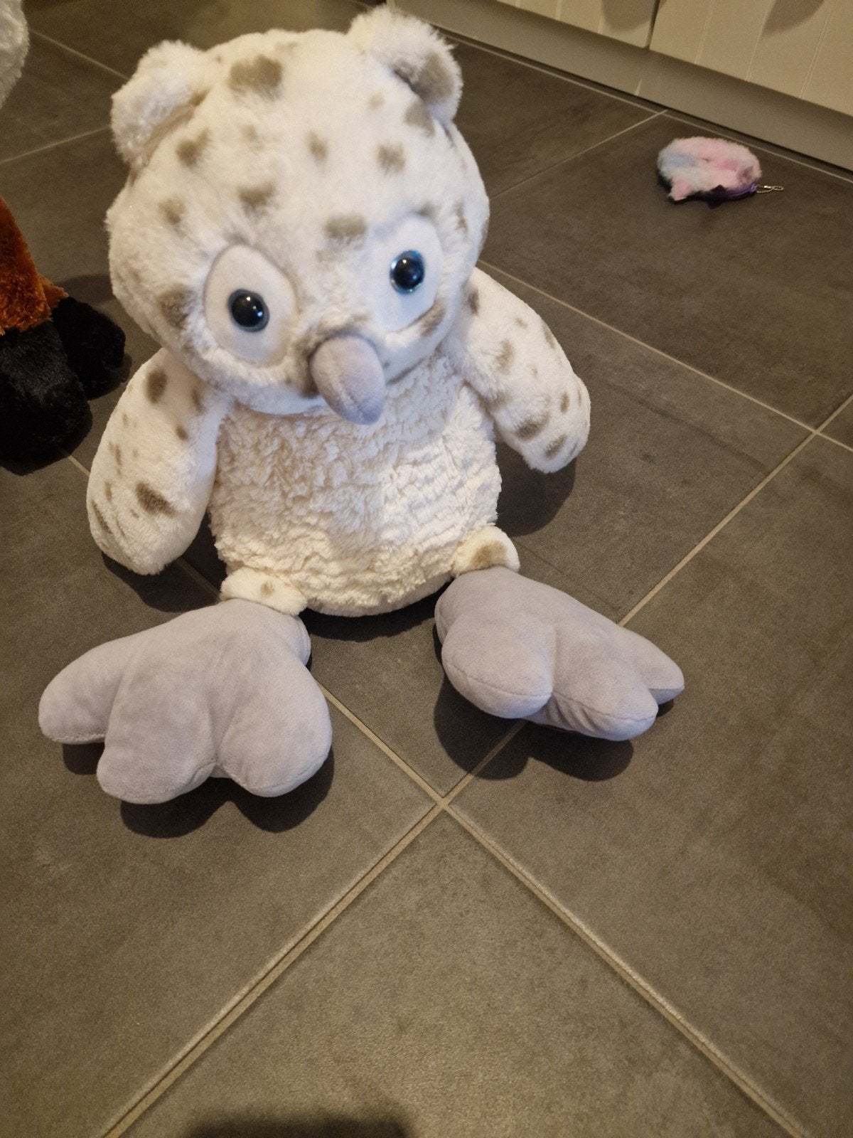 knuffel uil, Ophalen