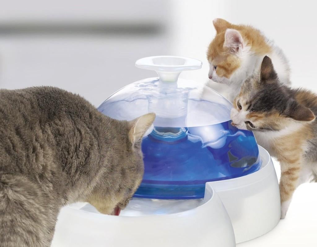 Catit drinkfontein voor katten, Ophalen, Gebruikt
