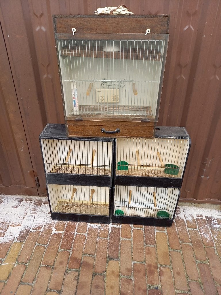Vogelkooien, drinkfonteintjes enz..., Ophalen