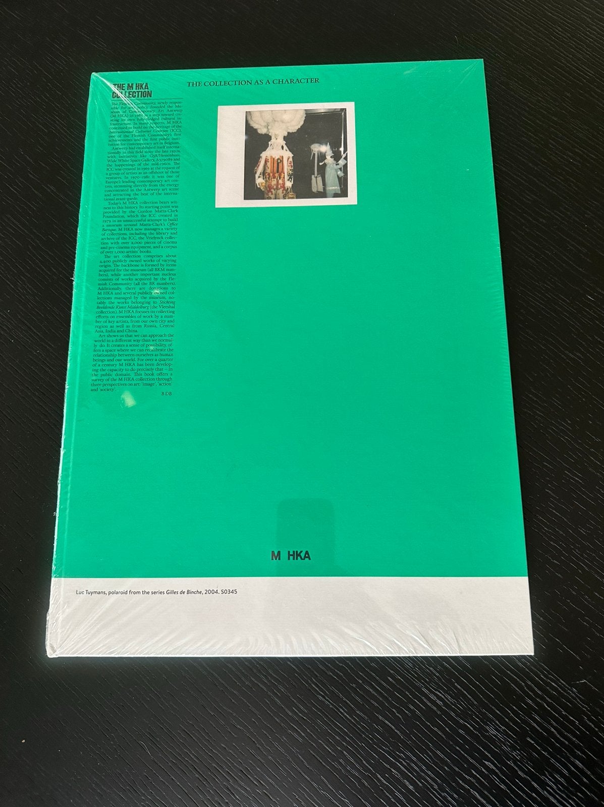 M HKA kunstboek : The collection as a Character nieuw, Boeken, Ophalen of Verzenden, Nieuw, Overige onderwerpen