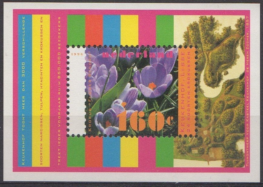 Nederland - Paarse krokussen - 1996, Envoi, Non oblitéré
