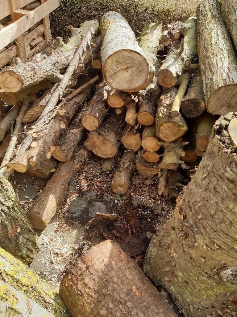 Snoeien en kappen bomen gratis, Ophalen