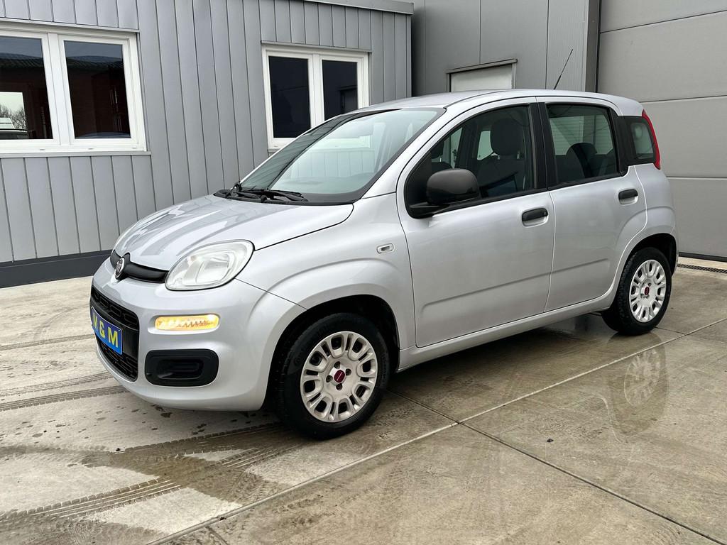 Fiat Panda Panda 1.2 * 12 m garantie *, Autos, Fiat, 1242 cm³, Argent ou Gris, Achat, Euro 6