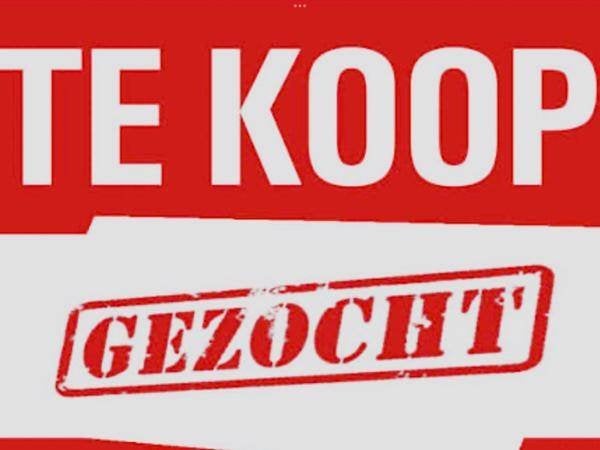 Gezocht camper mobilhome, Caravans en Kamperen, Automaat, Buscamper of Camperbus, Diesel, Particulier