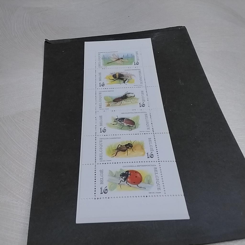 Carnet BELGIQUE 27 à l'état neuf avec cote 5,50€, Enlèvement ou Envoi, Neuf