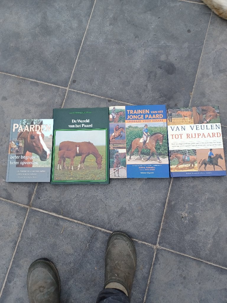 Boeken over paarden, Livres, Animaux & Animaux domestiques, Enlèvement, Comme neuf, Chevaux ou Poneys