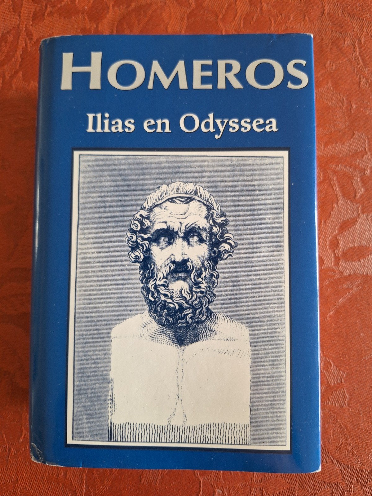 Homeros - Ilias en Odyssea, Livres, Romans historiques, Enlèvement ou Envoi, Utilisé, Homeros