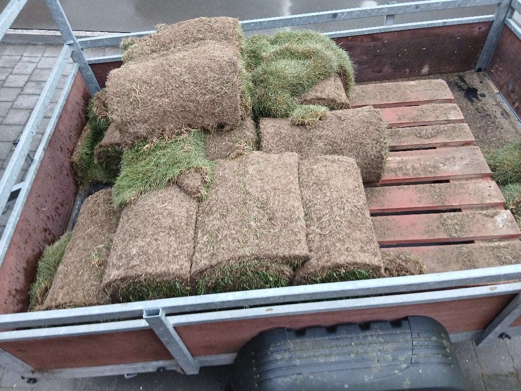 Gratis graszoden +/- 12m², Tuin en Terras, Gras en Kunstgras, Ophalen, Zo goed als nieuw, 10 tot 20 m², Gras