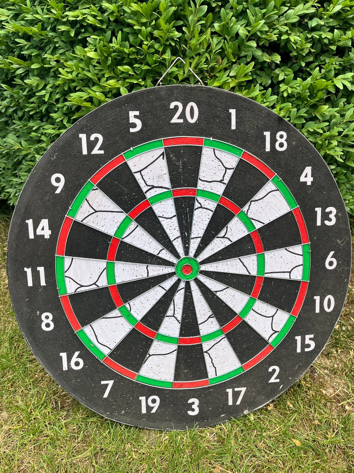 Dartsbord, Sport en Fitness, Darts, Ophalen, Gebruikt