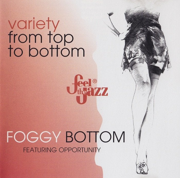 SALE--CD FOGGY BOTTOM & OPPORTUNITY-Variety-From, Verzenden, Blues