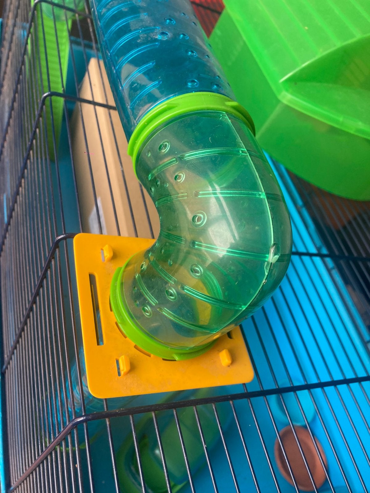 Grote hamsterkooi 80/50cm, Ophalen