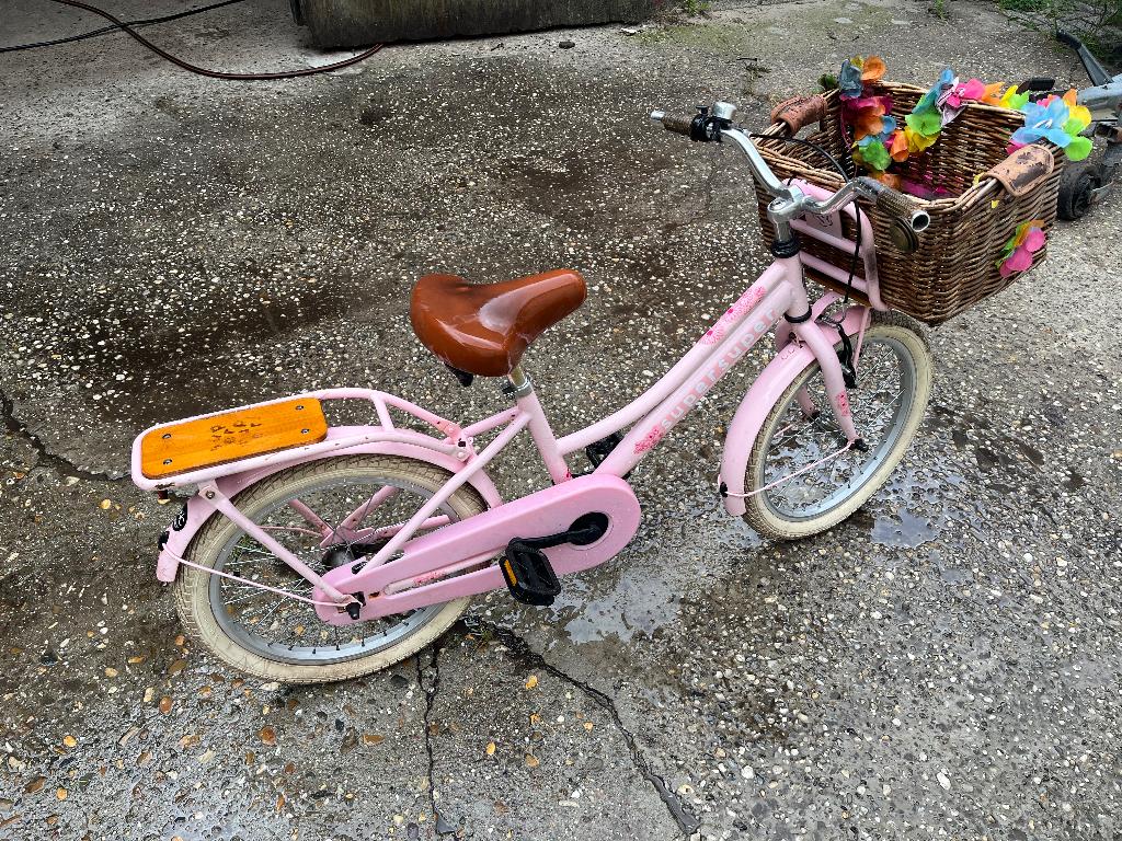 Meisjesfiets 18 inch, Ophalen, 18 inch