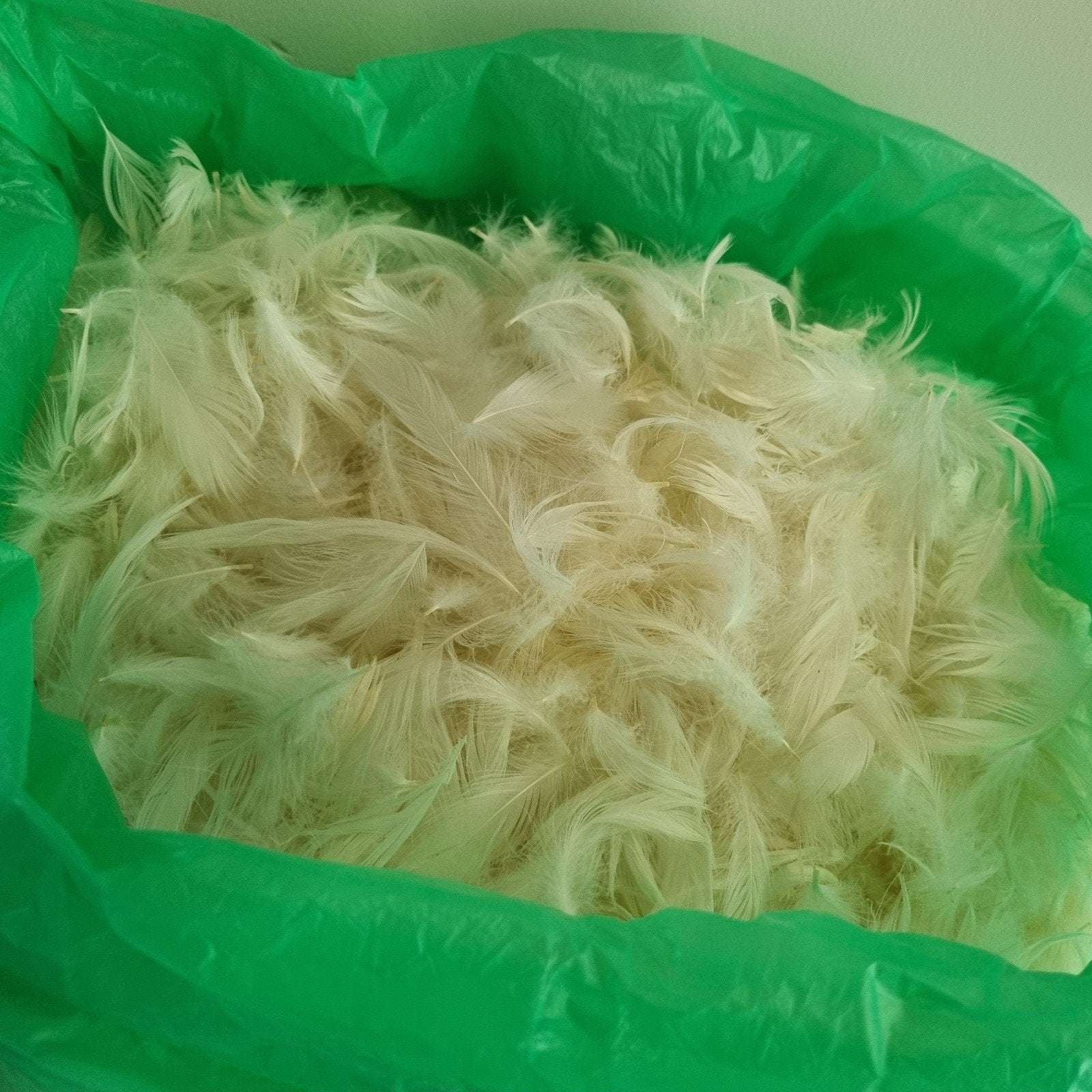 Grote zak witte veren - ideaal voor knutselprojecten!, Overige thema's, Nieuw, Ophalen of Verzenden, Natuurlijk materiaal